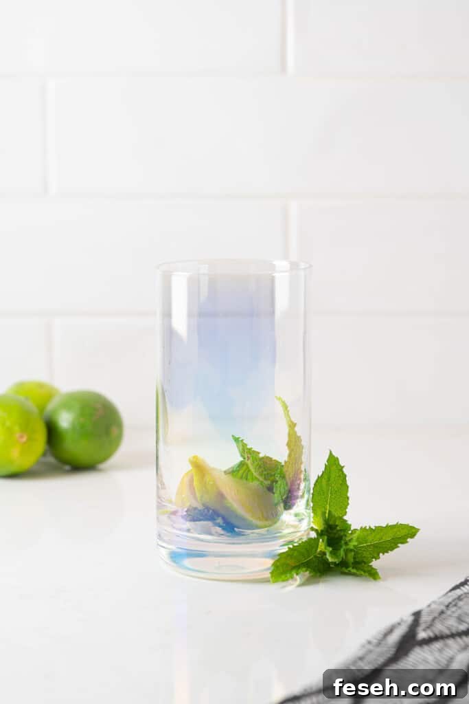 mint and lime slices in a glass