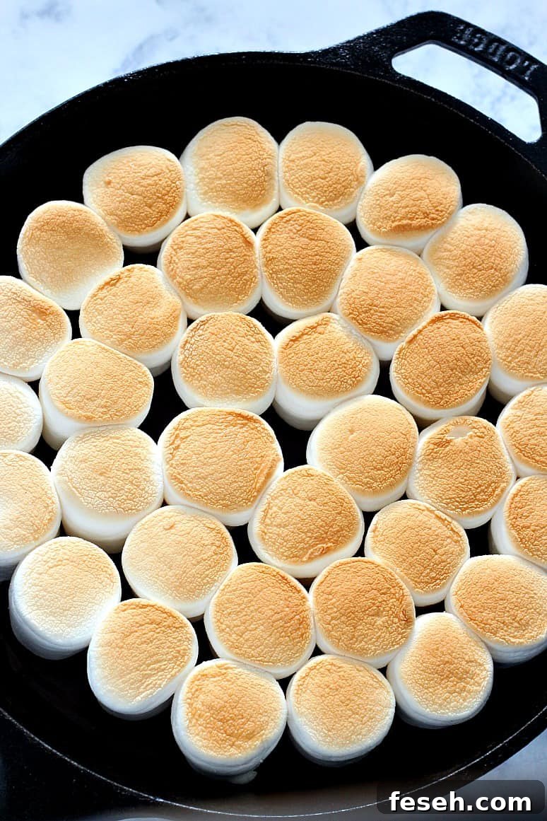 Overhead shot of toasted marshmallows in the s'mores dip.