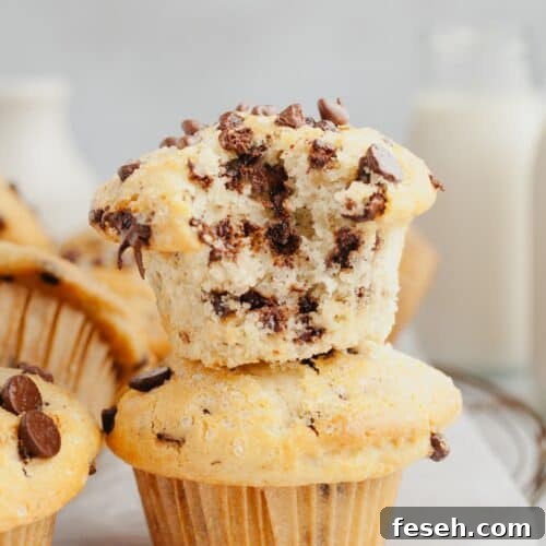 A chocolate chip muffin with a bite taken out of it on top of another muffin.