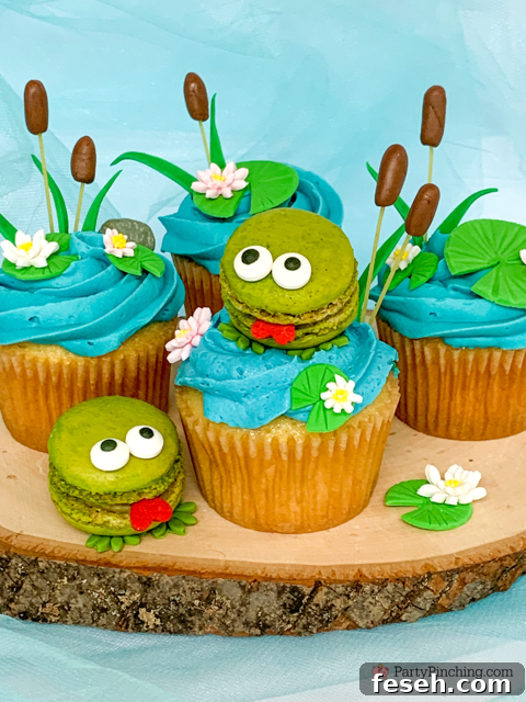 frog macarons picnic idea