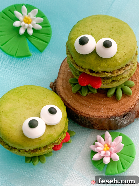 frog macarons matching cupcakes