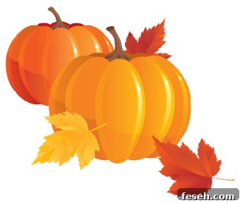img 19122 5