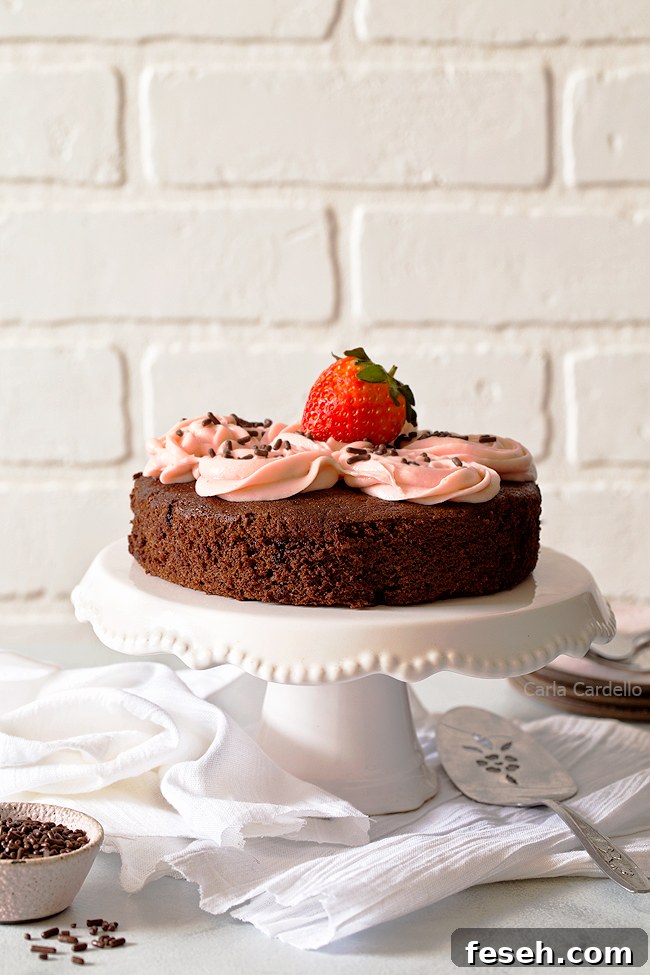 Small Chocolate Cake on white cake stand