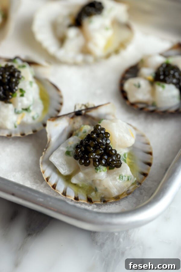 Scallop Tartare