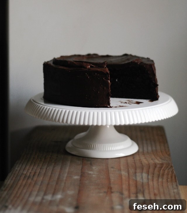 A moist and delicious strawberry and chocolate cake recipe with a decadent chocolate frosting. This chocolate layer cake is perfect for all celebrations! | sophisticatedgourmet.com