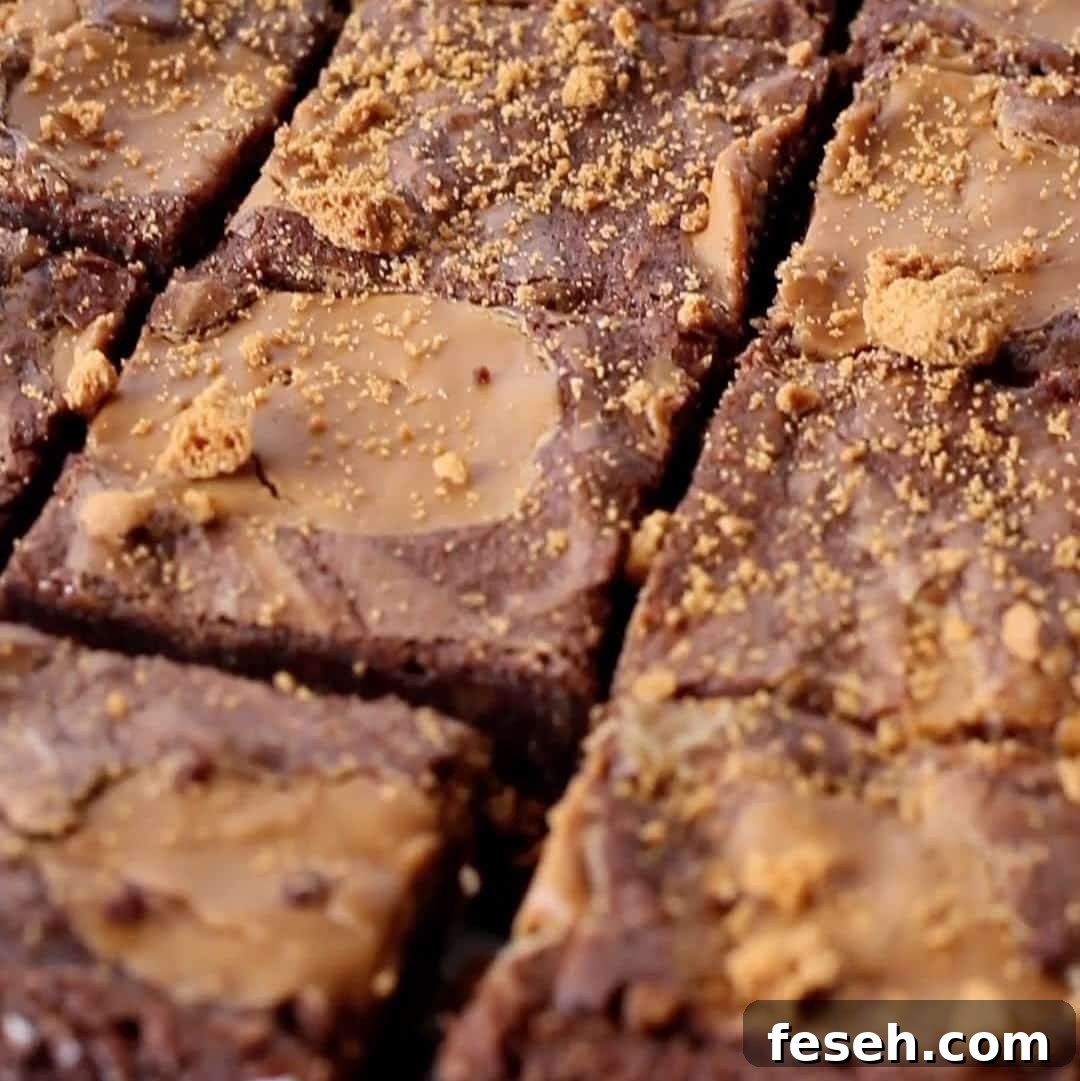 Close-up of freshly baked biscoff brownies, sprinkled with golden biscoff cookie crumbs, highlighting the moist texture and swirls of biscoff spread.