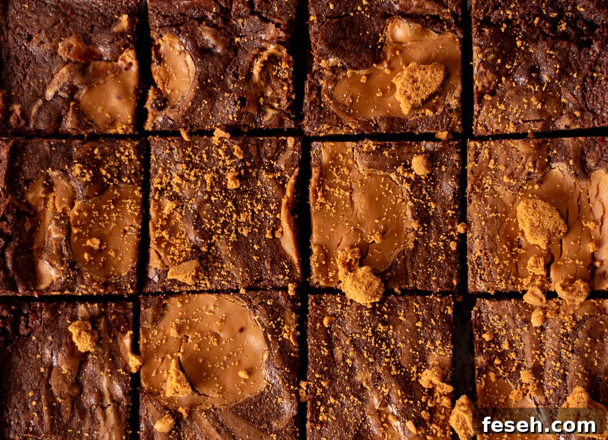 Close-up of freshly baked Biscoff brownies, cut into squares and topped with crushed Biscoff cookies, emphasizing their gooey caramel centers.