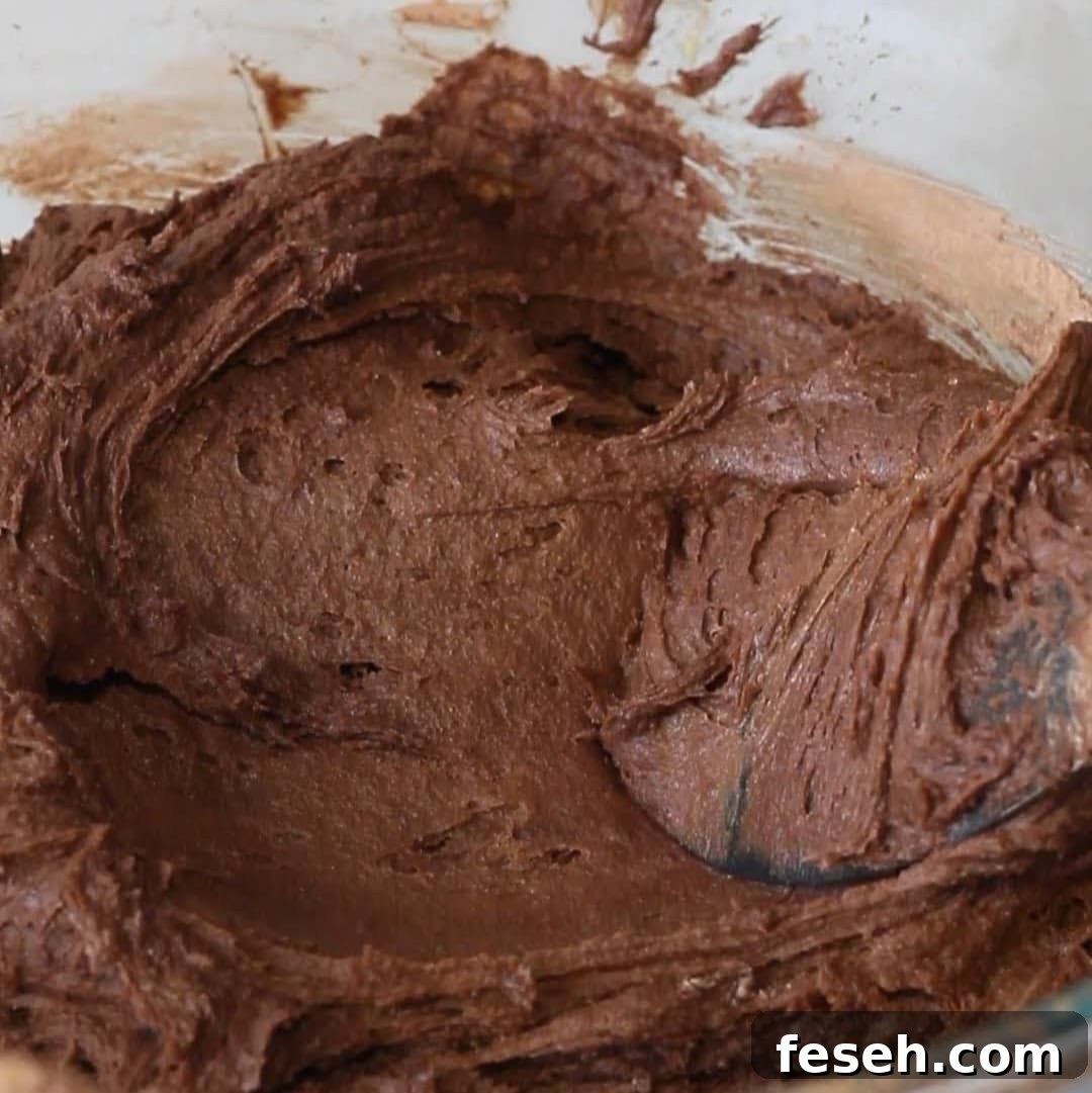Mixing bowl with rich, chocolatey biscoff brownie batter, ready to be poured into a baking dish for a delightful biscoff dessert.