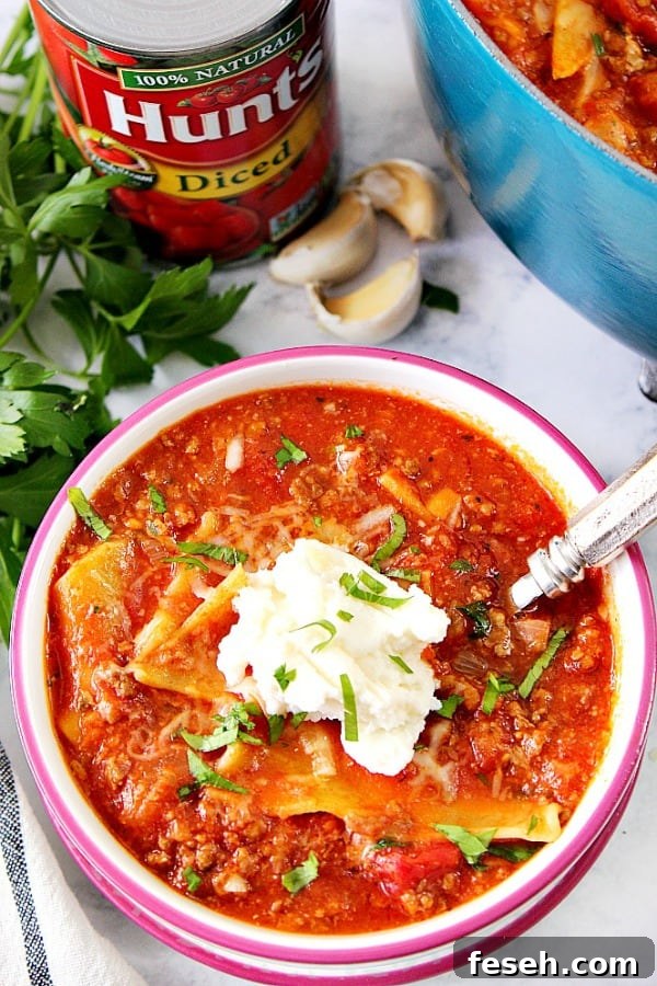 Overhead shot of lasagna soup in bowl, next to pot with soup.