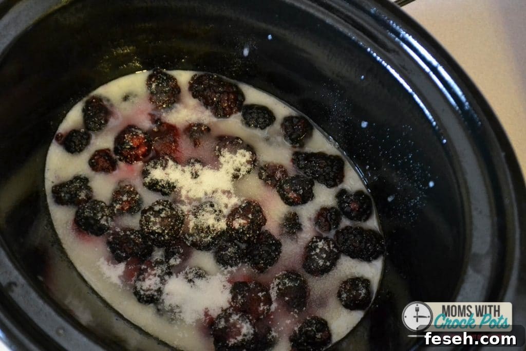 Crockpot Blackberry Cobbler-2