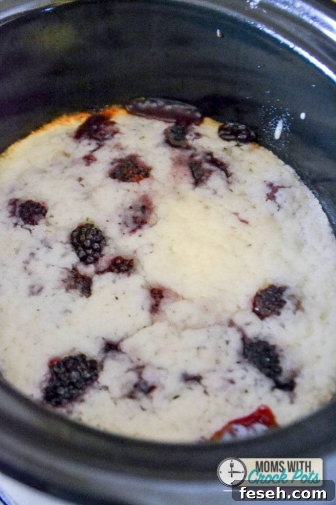 Crockpot Blackberry Cobbler-1-4