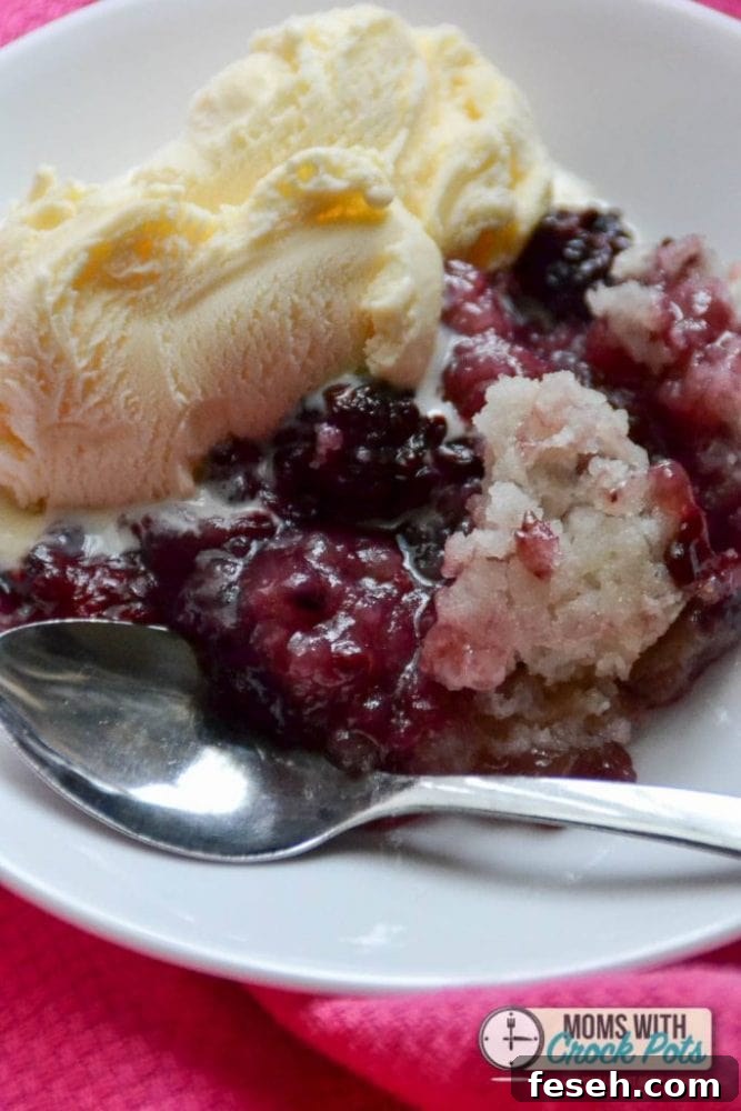 A summer dessert favorite! You can't go wrong with this simple Crockpot Blackberry Cobbler Recipe! So easy and comes out amazing! Plus gluten free & dairy free variations.