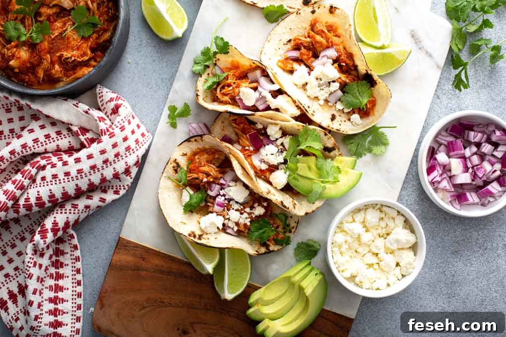 Top view of Mexican chicken tacos tinga with all the fixings .