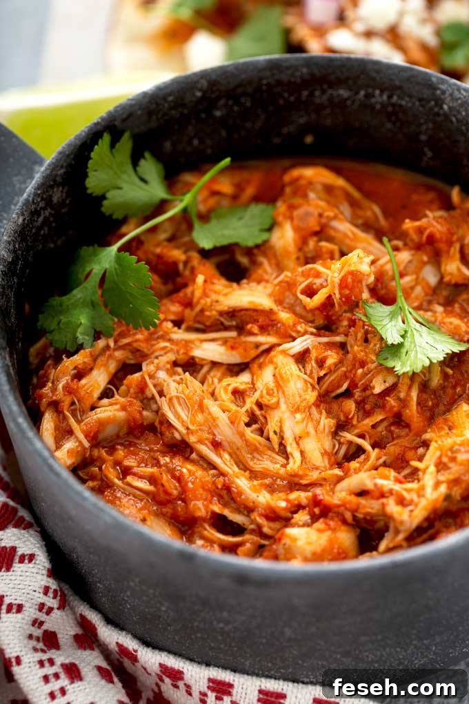 Shredded Chicken Tinga in a black serving bowl