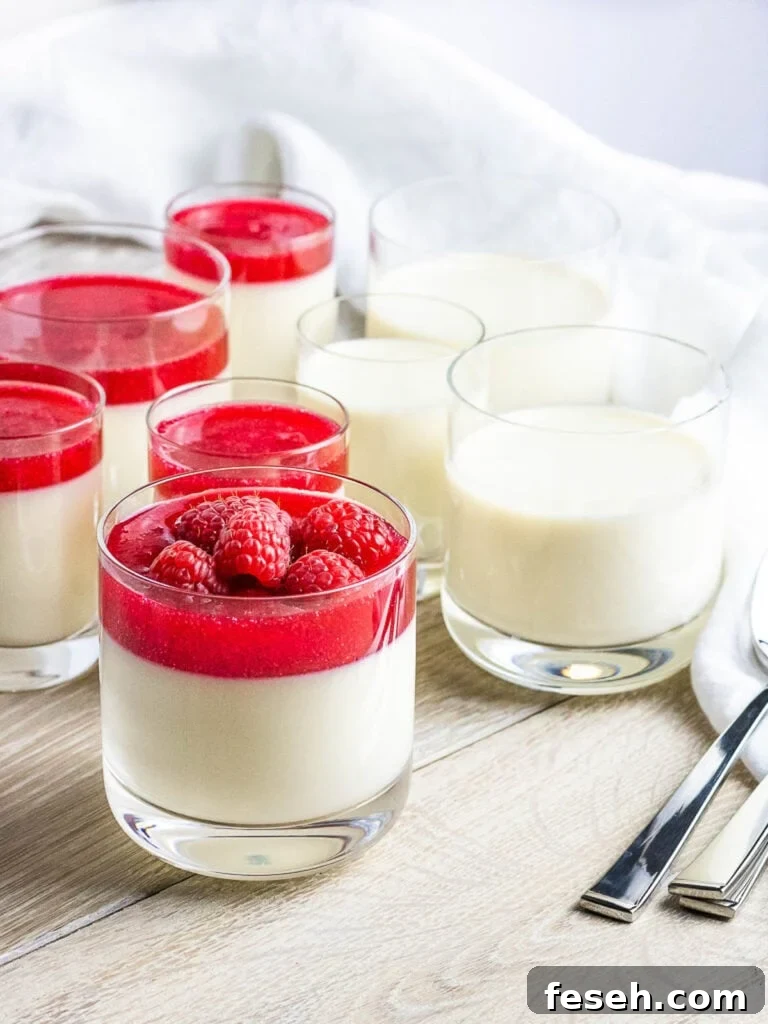 panna cotta with raspberries and red berry sauce