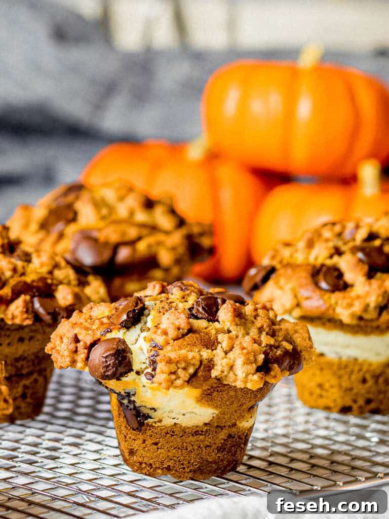 pumpkin chocolate chip muffins with cream cheese filling and streusel topping on a cooking rack