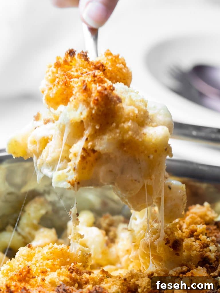 spoonful of southern baked mac and cheese with a golden brown breadcrumb topping