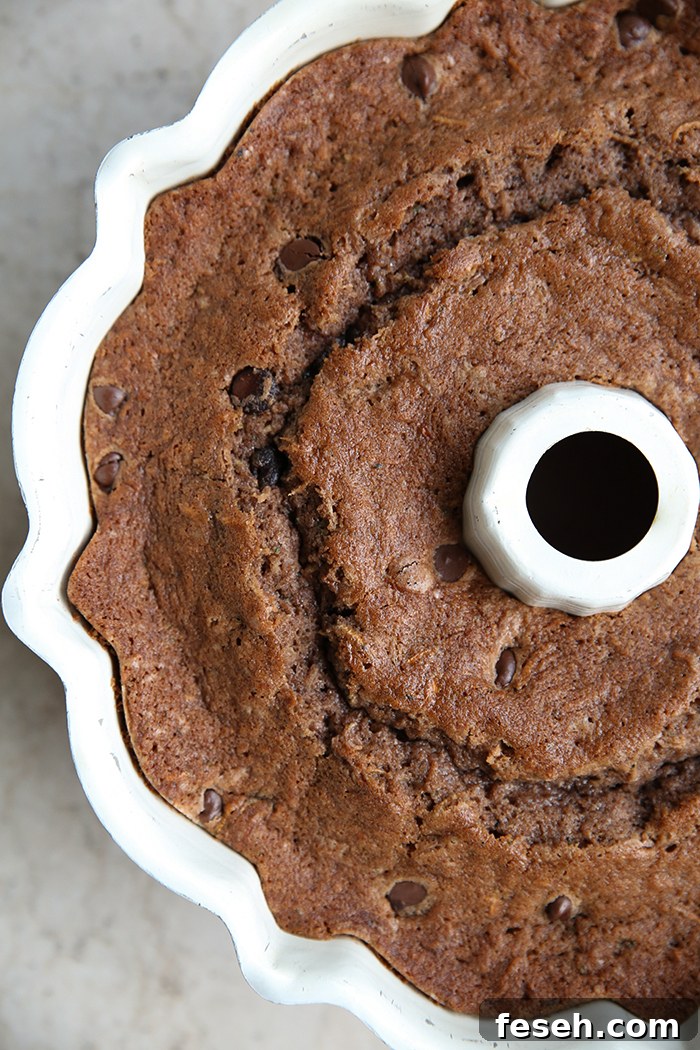 A partial picture of a spiced chocolate zucchini bundt cake still in the pan.