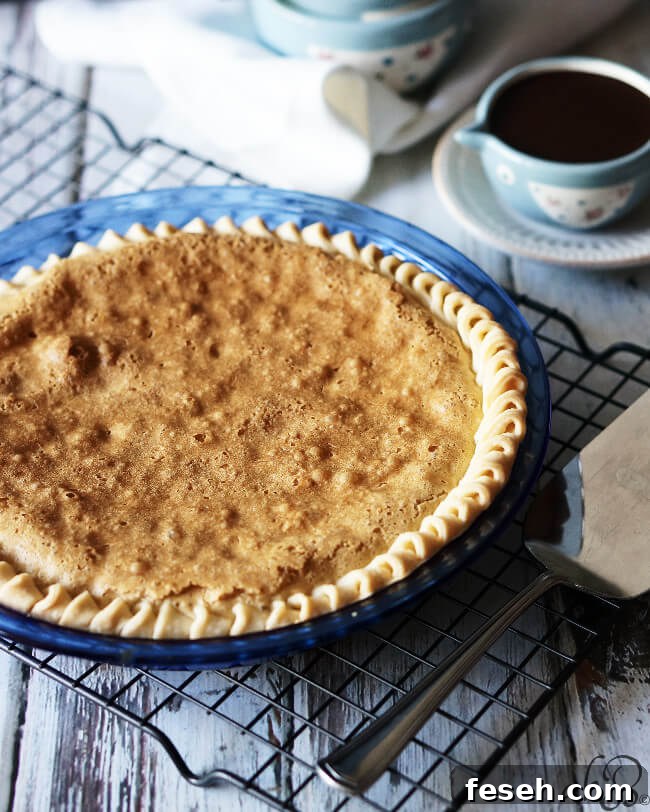 Chocolate Chip Cookie Pie