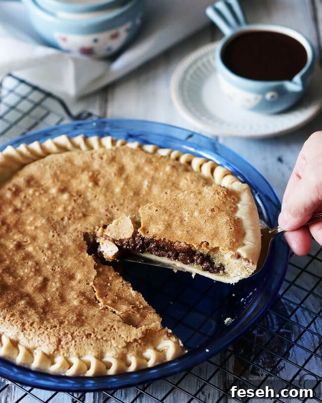 Chocolate Chip Cookie Pie