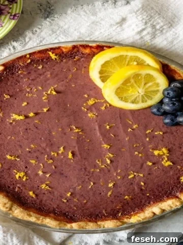 lemon blueberry tart topped with lemon slices and blueberries