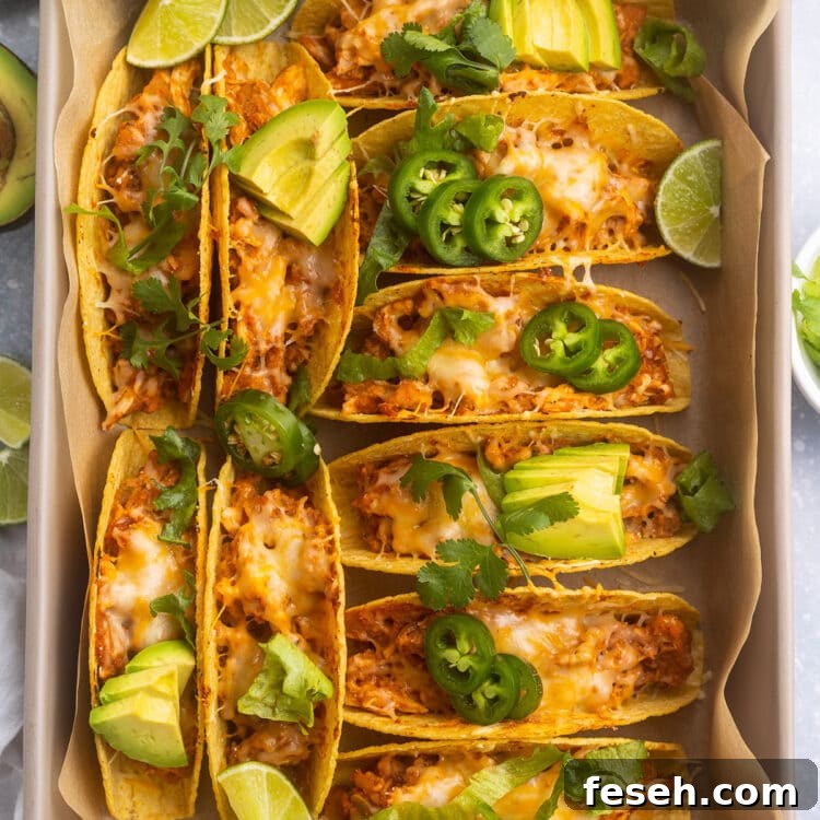 A baking pan filled with 10 baked chicken tacos in crispy taco shells.