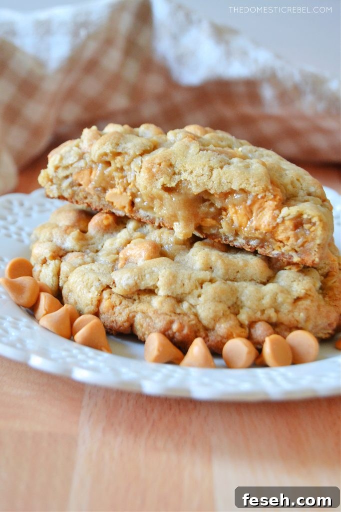 a plateful of oatmeal scotchie cookies surrounded by butterscotch chips