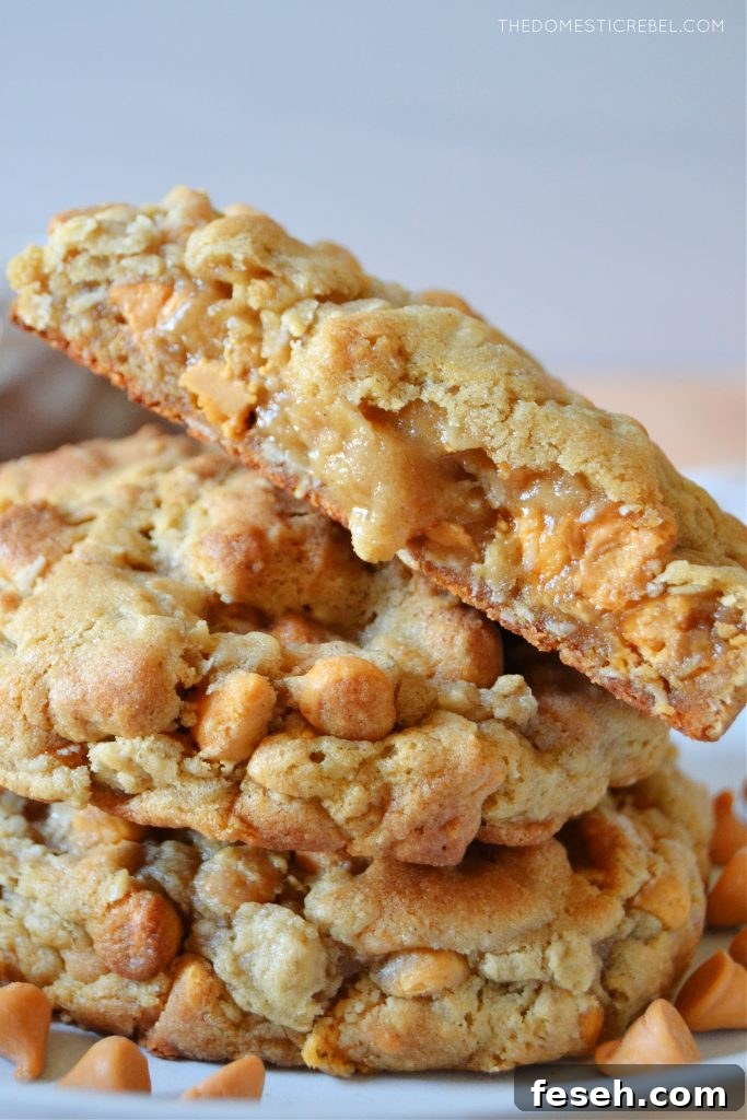 a closeup of a split open oatmeal scotchie cookie