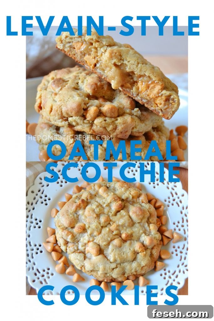 levain style oatmeal scotchie cookies photo collage