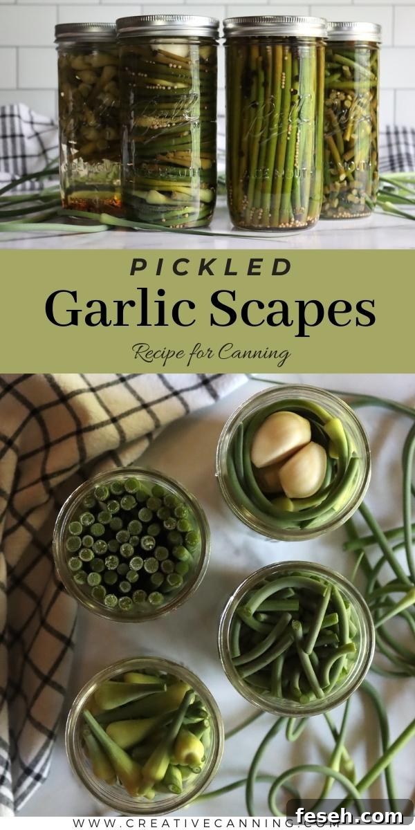 Canning Pickled Garlic Scapes