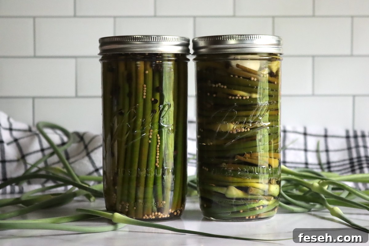 Pickled Garlic Scapes