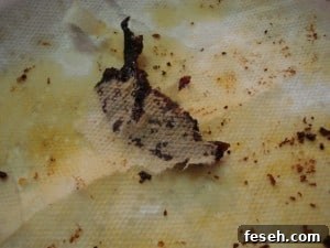 bacon on paper towel