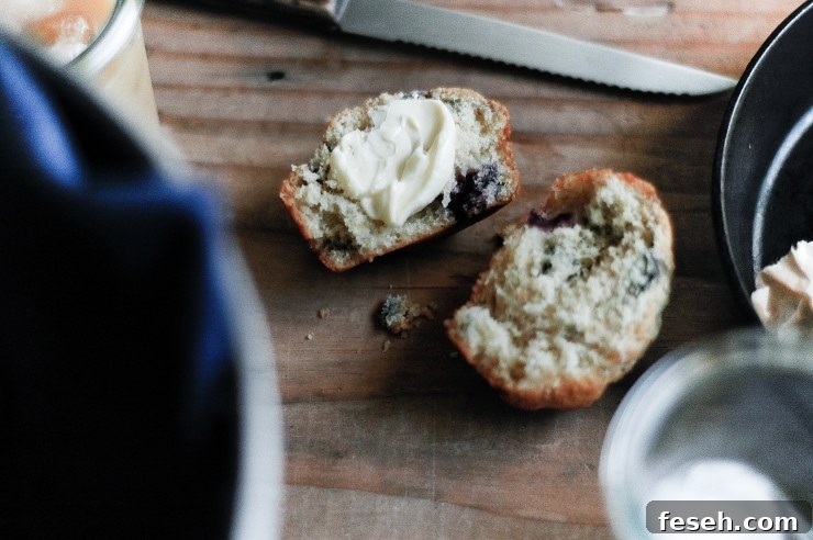 Perfect Blueberry Muffins Recipe | sophisticatedgourmet.com
