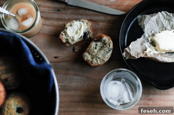 Perfect Blueberry Muffins Recipe | sophisticatedgourmet.com