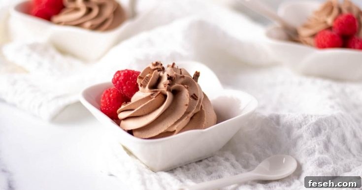 Image for EASY Chocolate Mousse in 5 Minutes or LESS