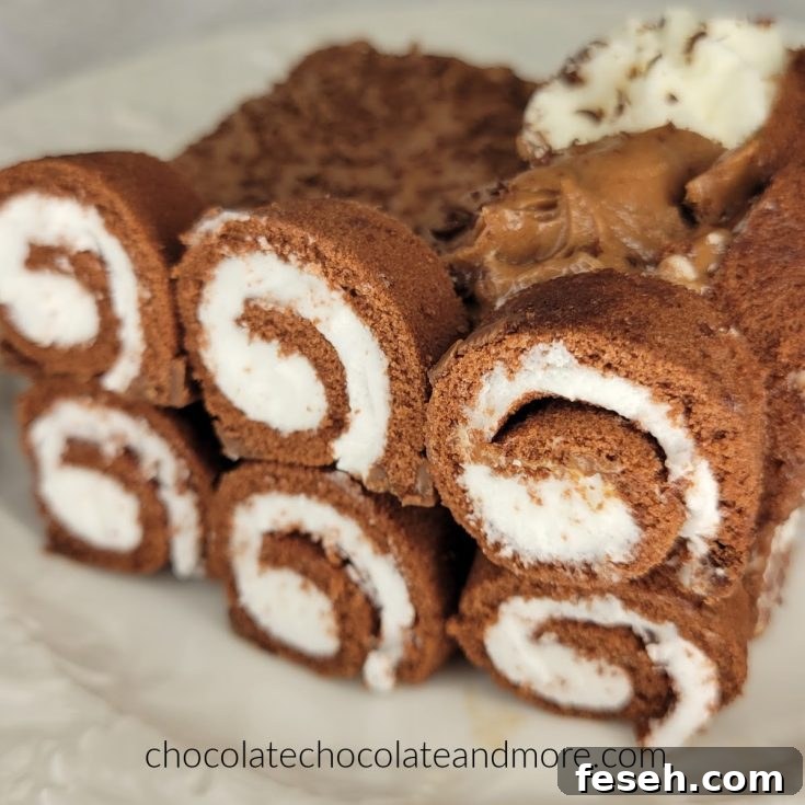sliced chocolate swiss rolls outline a chocolate mousse cake