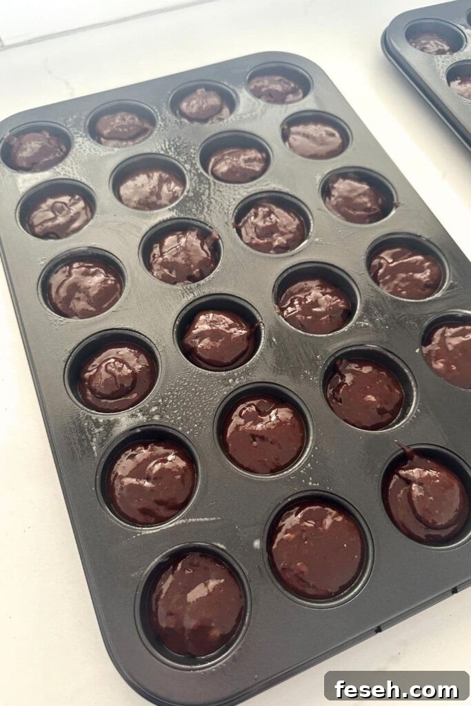 Brownie bites dusted with icing sugar.