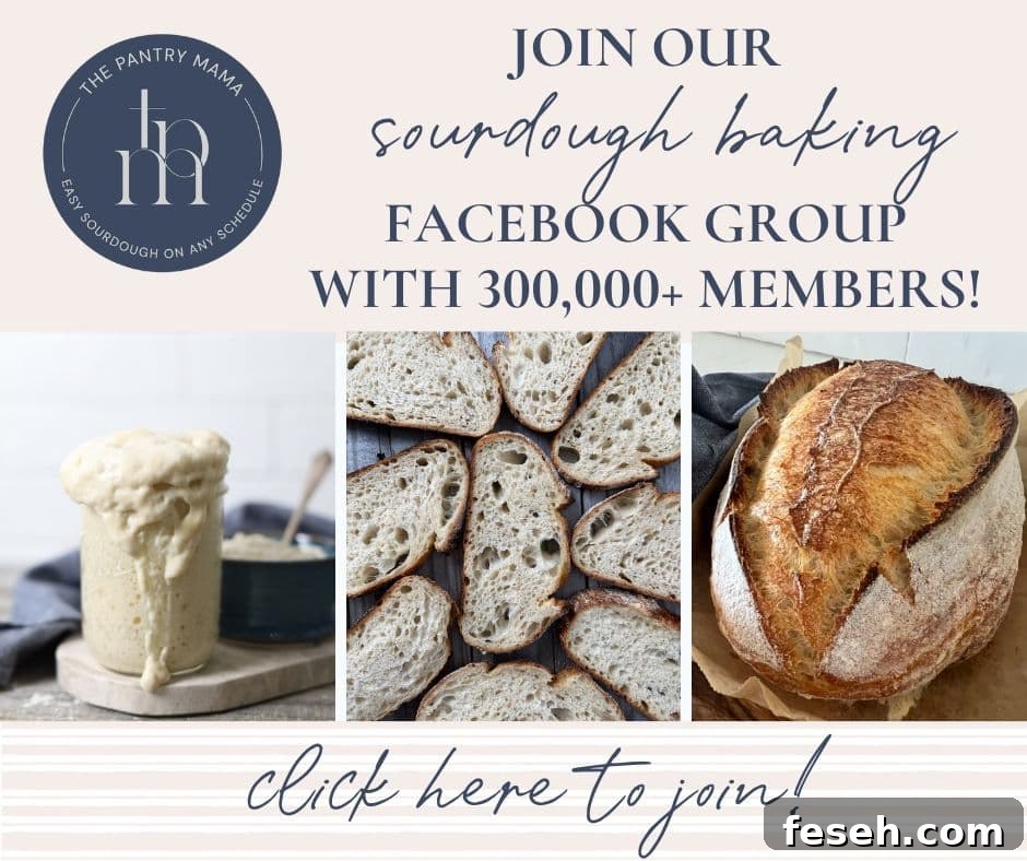 Community sourdough group photo link image.