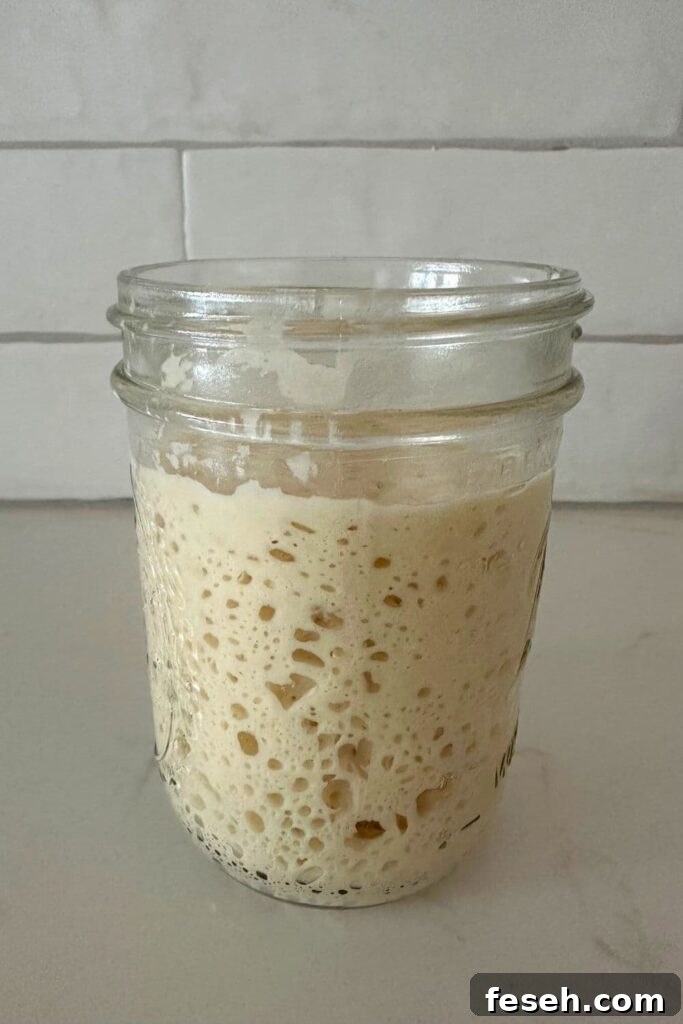 Sourdough starter in a jar beside baking ingredients.