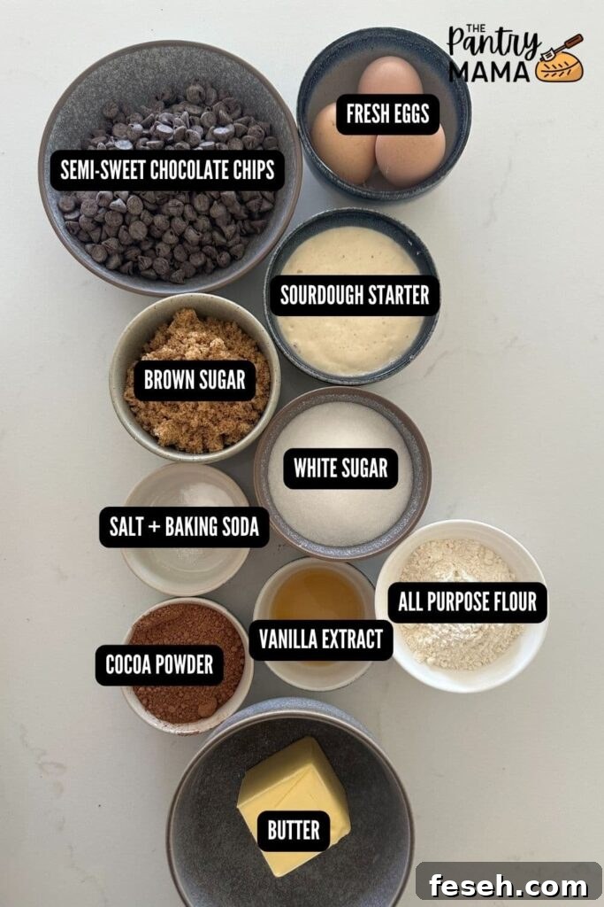 Flat lay of ingredients for sourdough brownie bites.