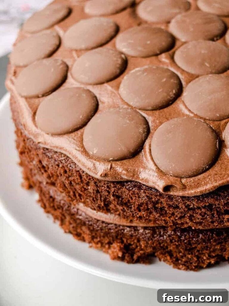 Close up of Farmersgirl kitchen's chocolate cake with giant chocolate buttons as decorations