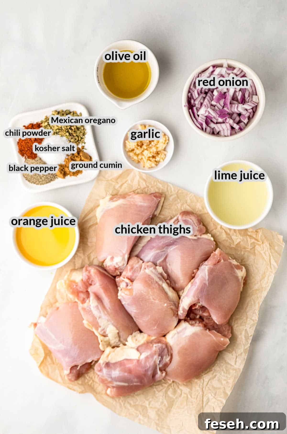 Overhead Image of Pollo Asado Ingredients