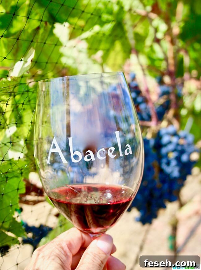 Wine tasting at Abacela Winery in Roseburg, Oregon wine country, on UrbanBlissLife.com