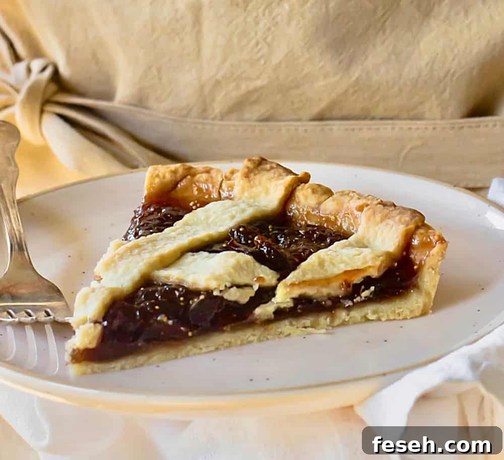 Lattice fig tart.