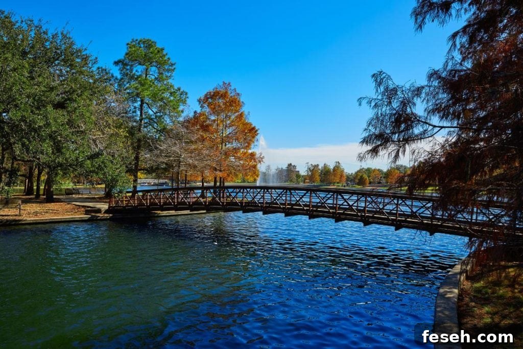 bridge at Hermann Park in Houston, TX