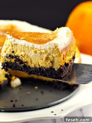 a piece of skinny pumpkin cheesecake being lifted off a plate