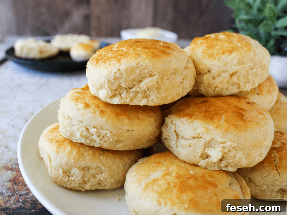 stack of Popeye Biscuits