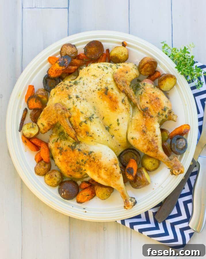 Herb Butter Spatchcock Chicken and Roasted Vegetables on circular white platter with a blue stripe napkin