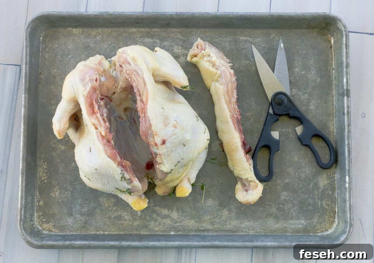 chicken on baking sheet with scissors and backbone removed