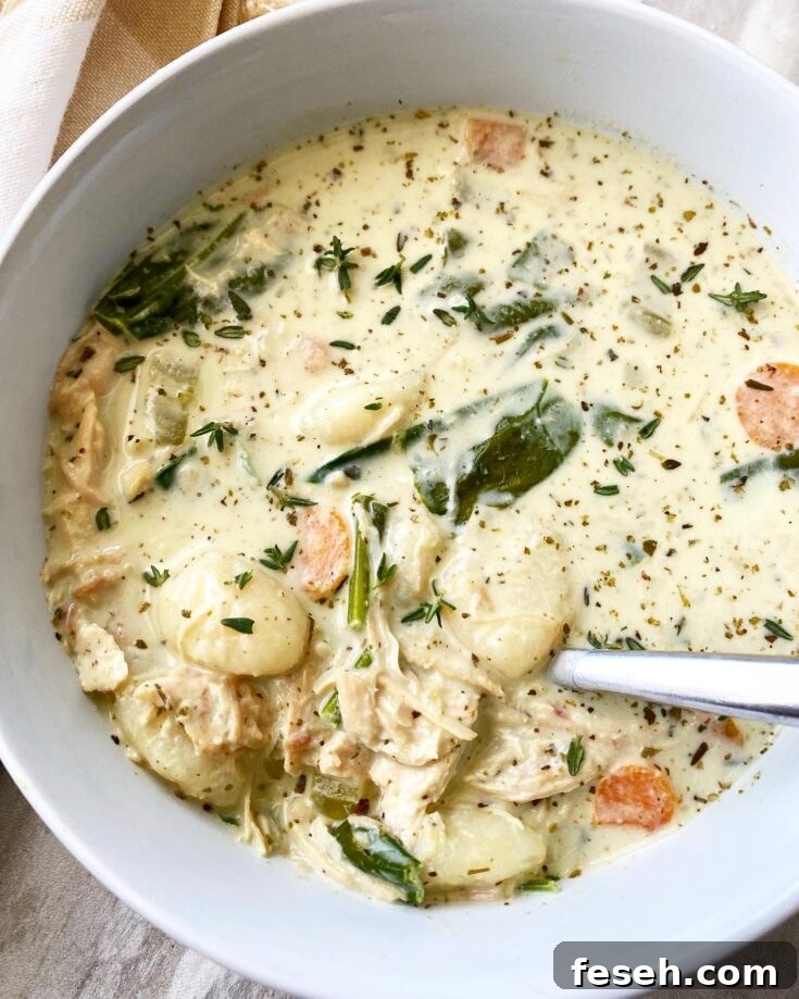 overhead shot of cooked Chicken Gnocchi Soup in a white bowl with a silver spoon in it
